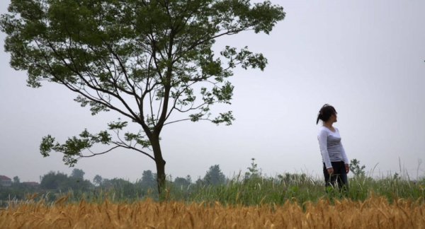 比较大的证券公司 从纪录片到非虚构写作：为30年变迁留下普通人的乐章